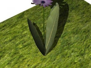 10 plants 3D Модель