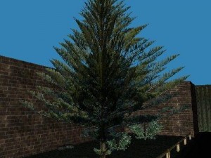 10 plants 3D Модель