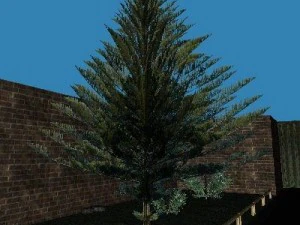 10 roślin Model 3D