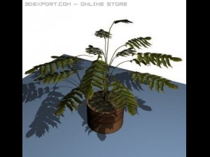 10 plants 3D Модель