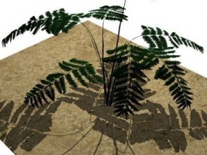 10 plants 3D Модель