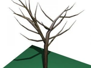 10 roślin Model 3D