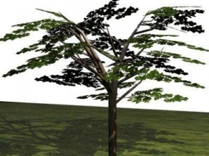 10 plants 3D Модель