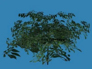 10 roślin Model 3D