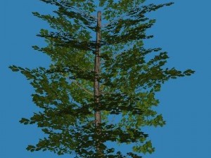 10 plants 3D Модель