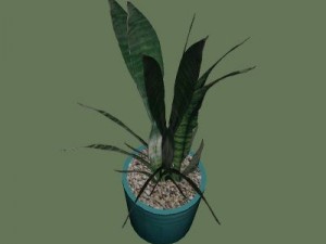 plant1 3D Модель