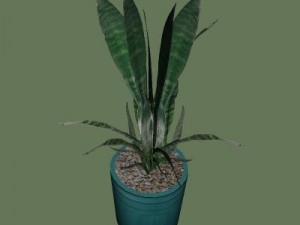 plant1 3Dモデル