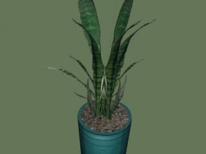 plant1 3Dモデル