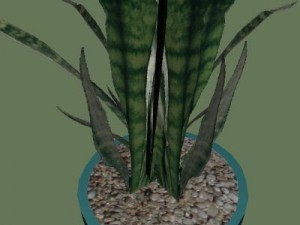 plant1 3Dモデル