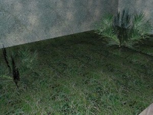 palm 3D Model