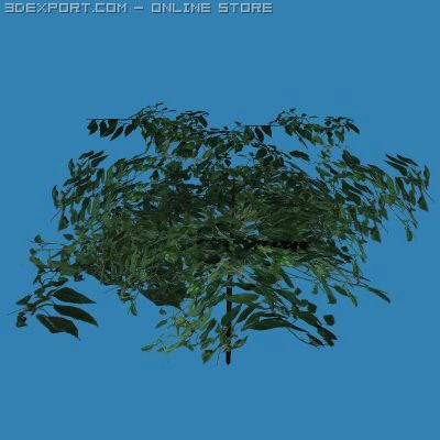 albero Modello 3D .c4d .max .obj .3ds .fbx .stl .blend