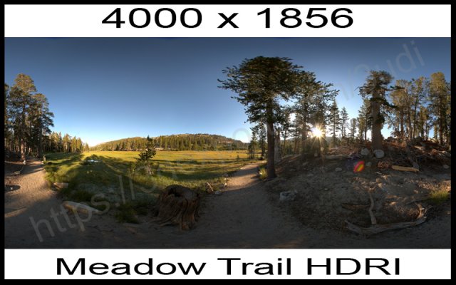 meadow trail hdri texture Modello 3D .c4d .max .obj .3ds .fbx .stl .blend 