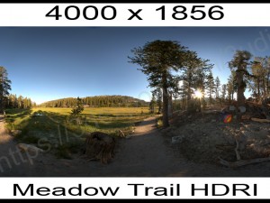 meadow trail hdri texture Modelo 3D