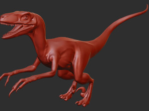 Raptor 3D Model