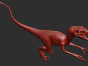 Raptor 3D Model