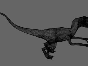 Raptor 3D Model