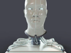 Cyborg Head Bust V1 3D Model