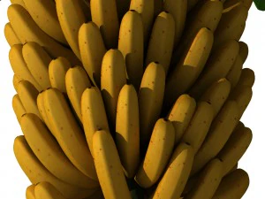 banana tree v2 3D Model