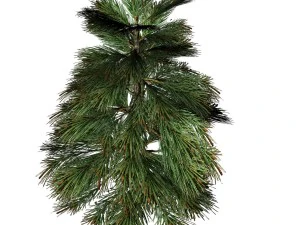 ель 3D Модель