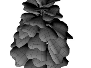 fir tree Modelo 3D