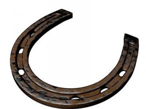 horse shoe 3D Model
