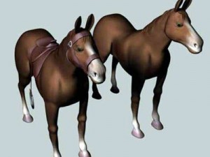 horses 3D Model