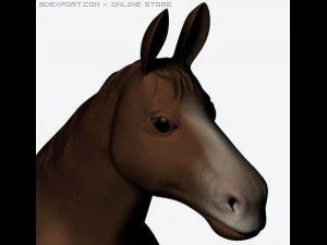 horses 3D Model