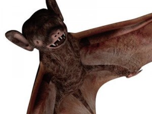 bat 3Dモデル