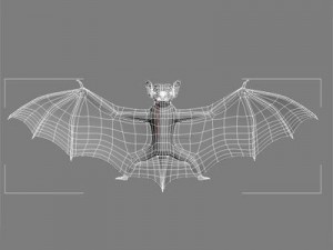 bat 3Dモデル