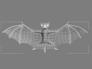 bat 3D Model