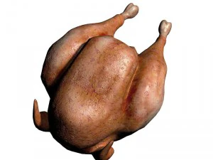 chicken 3D Model