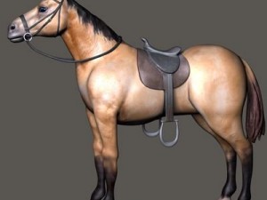 bay horse 3D Model