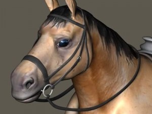 bay horse 3D-Modell