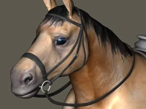 bay horse 3D Model