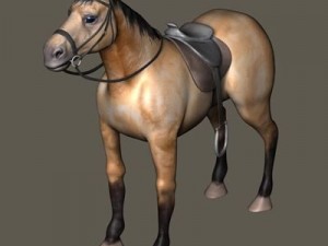 bay horse 3D-Modell