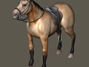 bay horse 3D Model