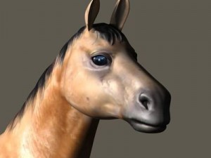 bay horse 3D-Modell