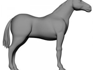 bay horse 3D-Modell
