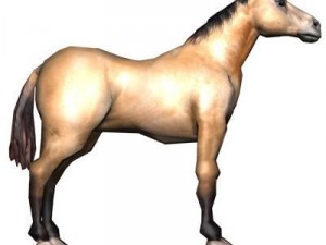 bay horse 3D-Modell
