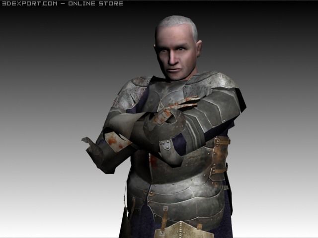 armored knight 3D Model .c4d .max .obj .3ds .fbx .stl .blend 