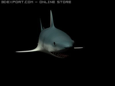 shark animated Modelo 3D .c4d .max .obj .3ds .fbx .stl .blend 