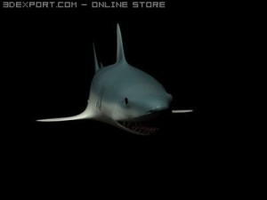 shark animated Model 3D