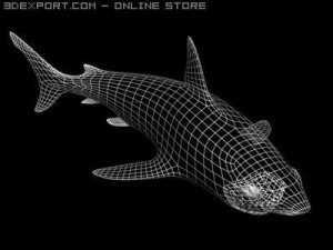 shark animated Modelo 3D