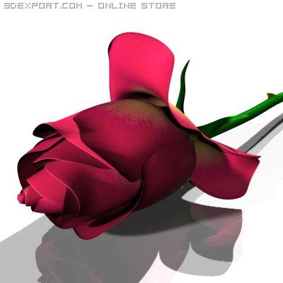 rose 3D 模型 .c4d .max .obj .3ds .fbx .stl .blend