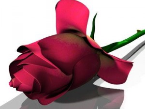 rose Model 3D