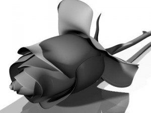 rose 3D 模型
