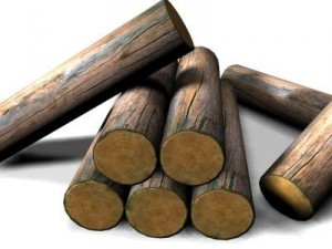 wood Model 3D
