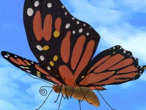 butterfly cartoon 3Dモデル