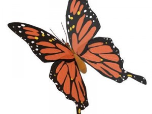 butterfly cartoon Model 3D