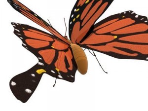 butterfly cartoon Model 3D
